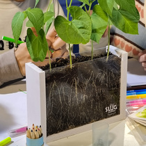 Children's Plant Root Observation Window Seed Box Germination Growth Planting Mini Potted DIY Kindergarten