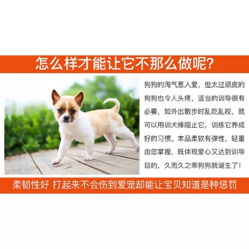 Артефакты собак, тренировка собак, тренировочная собачья палка, любимая любимая любимая собака, собака, кнут, тренировочная тренажера для собак.