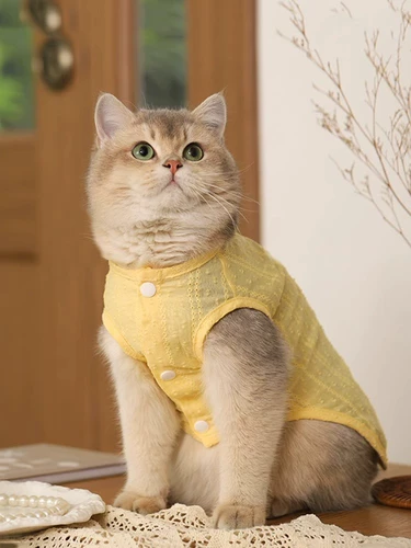 Коттяная одежда кошачья одежда летняя тонкая легкая и дышащая баранина в Великобритании Короткое золото