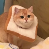 Элизабет Круг собаки против ликования и укуса артефакта Стерилизованный мягкий воротник котенок, регулируемый для употребления кошачьего кошачьего кольца