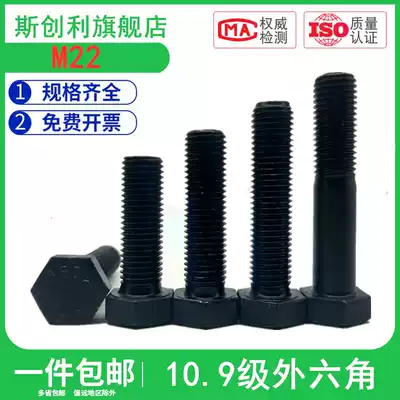 10 Class 9 outer hexagonal screws, extended screws, high-strength bolts, M22*50x60x70x80x90x100-500