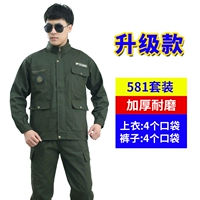 581 Jun Green (весна и осень)