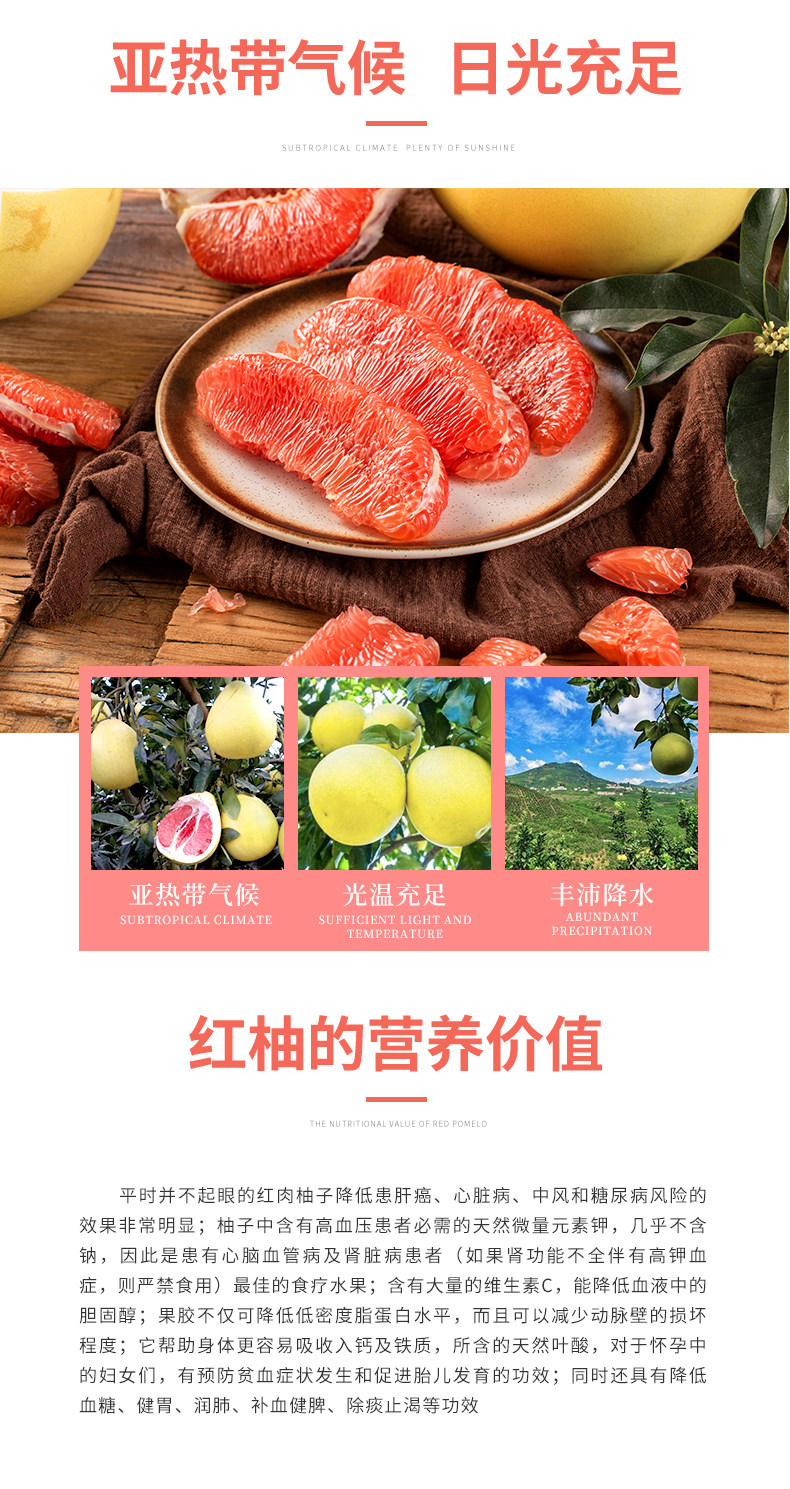福建平和红心蜜柚 5斤 2-3个装 图3