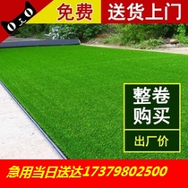 Construction Site Containment Lawn Artificial Simulation Fake Turf Green Outdoor Lawn Network Municipal Engineering Wall Greening