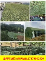Air defense shooting hidden net green shade net outdoor shadownet indoor decoration network plant mountain cover anti-satellite