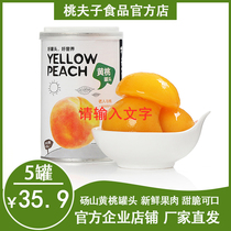 Fruit gift Mengqing Chihiro Meng canned yellow peach Master peach homemade canned yellow peach 12 cans mixed whole box canned