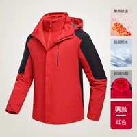 Мужчины/красный