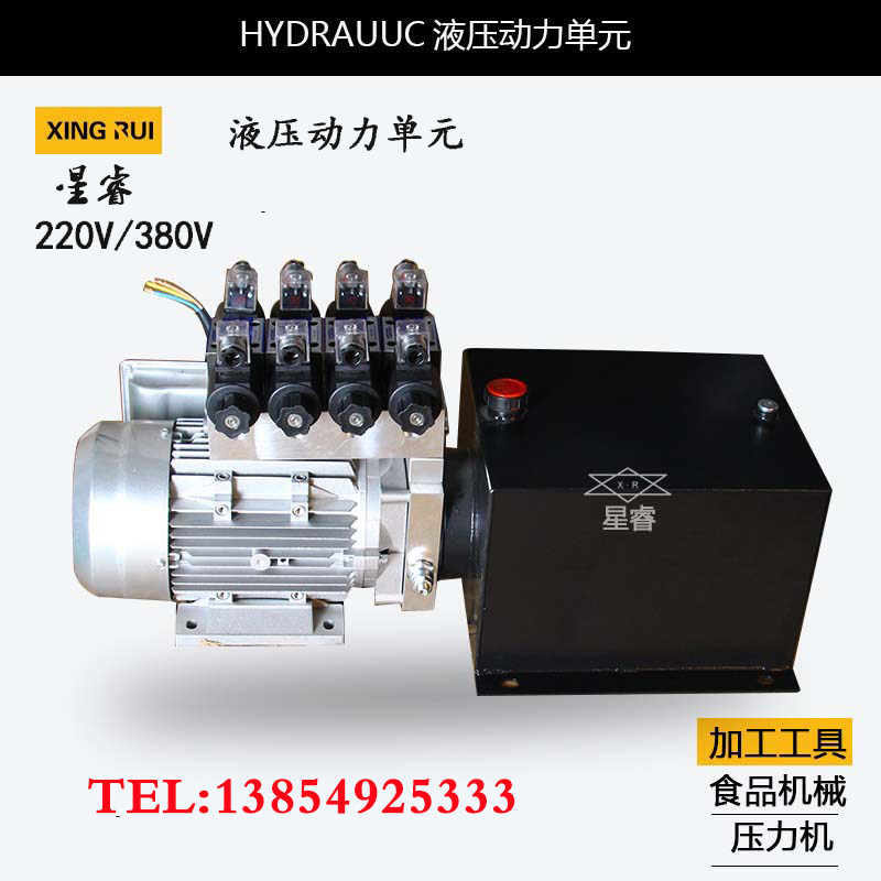 Star Wise Hydraulics 220V 380V Power Unit Pumping Station Hydraulic System Car Lift Small Platform Car