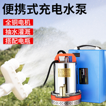 Rechargeable DC 48V submersible pump 12V24 watering artifact pump Agricultural irrigation household pump small