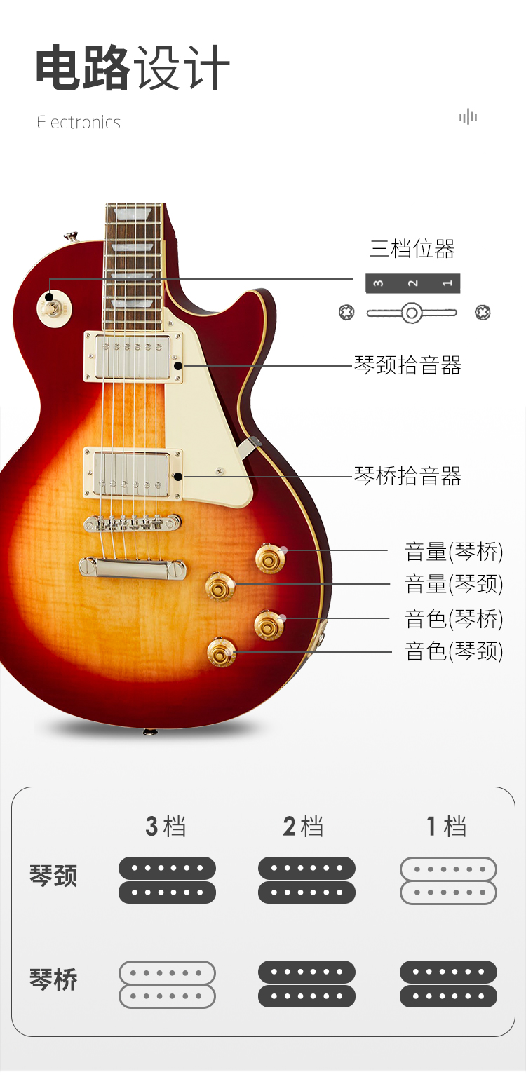 Epiphone Les Paul Standard 50s Electric Guitar with gig bag
