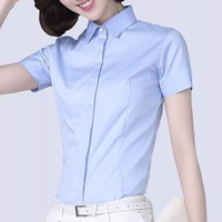 Лазурный, короткий рукав