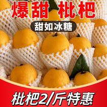 Sweet and delicious fresh loquats at special price 2kg