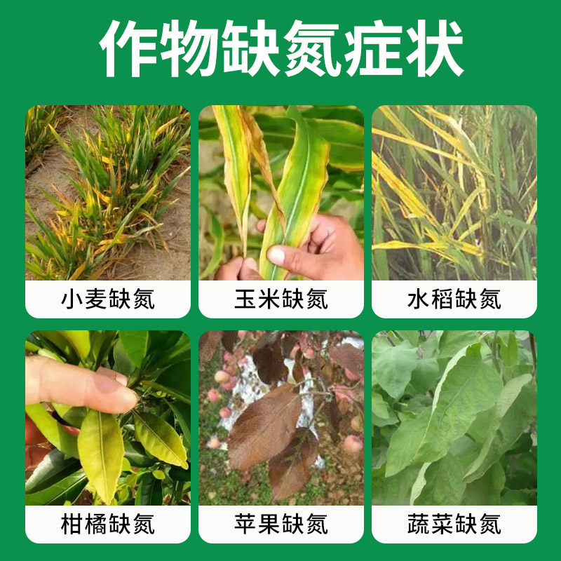 施美特液体氮肥：现代农业的高效养分供给先锋