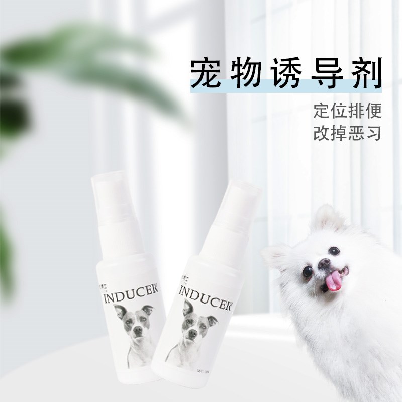 Teddy Beauté Puppy Inducing Agent Dog Defecation in Toilet Defecation Guide Training Spray Supplies
