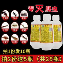 Insecticide powder to kill cockroaches dormitory ants whole nest kitchen beetles insect repellent poisonous insects slugs rats