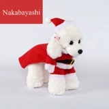 Трансформация собак Хэллоуин трансформация домашних животных в Санта -Клаус, вертикальная собачья станция, чтобы стоять