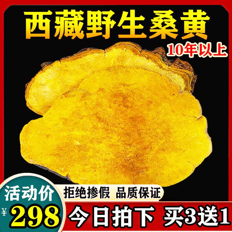 The efficacy of the wild mulberry tree in the Tibet Autonomous Region with the same benevolent class natural 15 years of Sanhuang fungus 500g