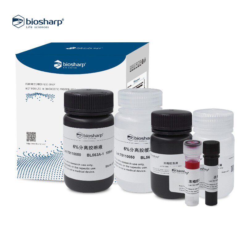 SDS-PAGE彩色凝胶快速制备试剂盒6% Biosharp BL563AB