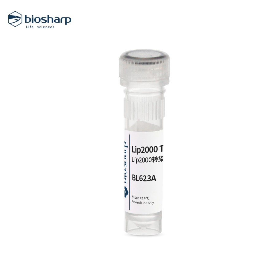 Biosharp BL623A脂质体2000/Lip2000转染试剂核酸转染脂质体转染