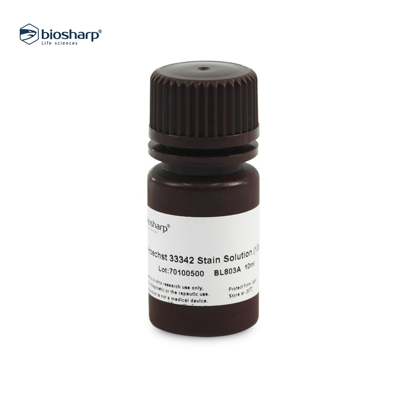 Biosharp BL803A Hoechst 33342染色试剂（即用型 10ug/ml）