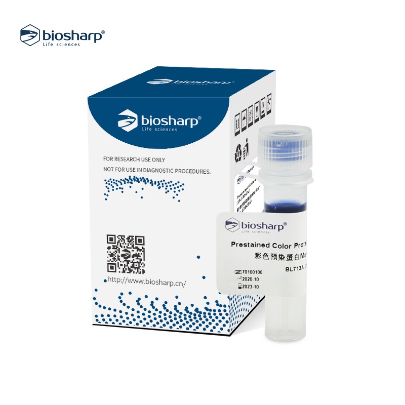 Biosharp BL713A 彩色预染蛋白Marker（15-130kDa)