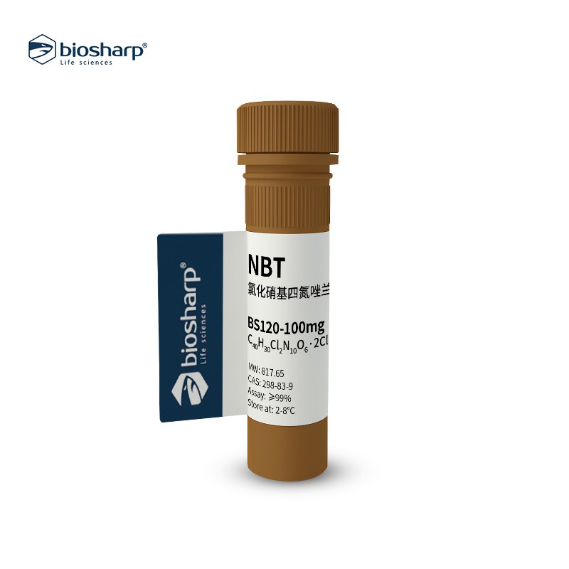 Biosharp BS120-1g 氯化硝基四氮唑兰 NBT