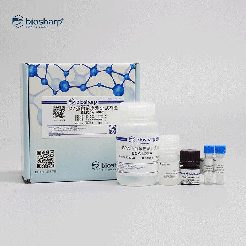 biosharp BL521A BCA蛋白浓度测定试剂盒500T白鲨试剂