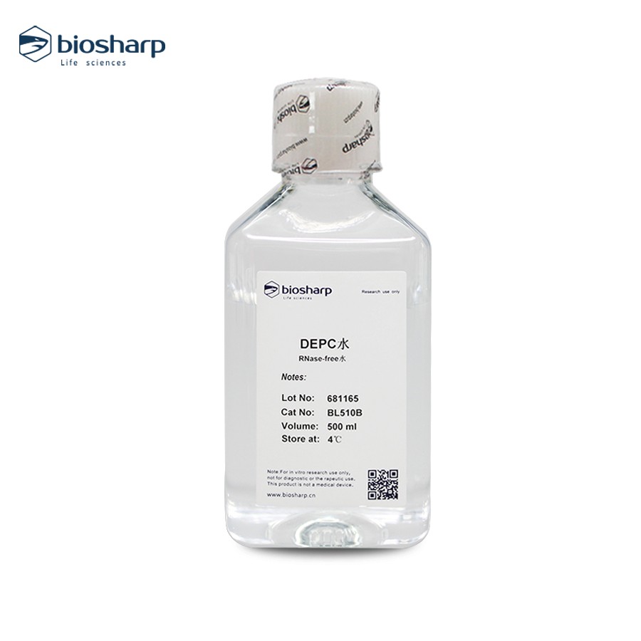 Biosharp BL510A BL510B 无酶水 DEPC水不含RNase即用型包邮开票