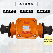 BHD2-400 1140 (660) -2T 3T4T Mining flame-proof low pressure cable junction box Coal mine Sub-wire box