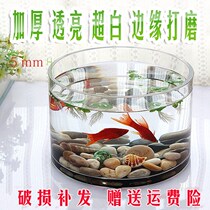 Glass Fish Tank Special Size Thickened Office Living Room Tabletop Cylindrical Round Cylinder Super White Crystal Fish and Turtle Mix Vat