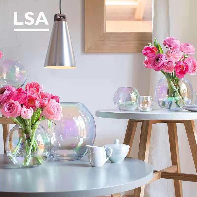 LSA Vase Glass Vase Vase Living Room Black Table Transparent Light Luxury Creative Flagship Shop