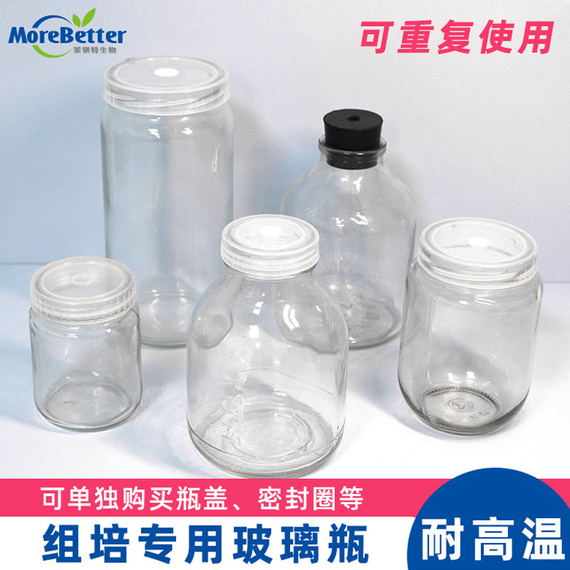 组培瓶350/650ml/240ml 玻璃育苗瓶组织培养瓶容器皮圈垫塞子瓶盖