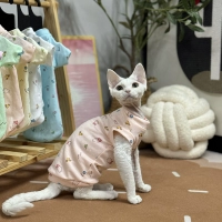 Оранжевый жилет