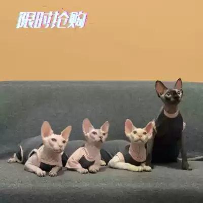 Hairless cat clothes Summer cotton belly protection four-legged air-conditioned room sling thin stretch Sphinx Devon cat clothes