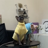 Одежда для кошачьей кошки в зимнем двойном двойном грунке фланелевая водолаз