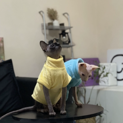 Одежда для кошачьей кошки в зимнем двойном двойном грунке фланелевая водолаз