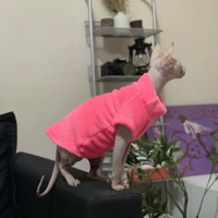 Флуоресцентный порошок