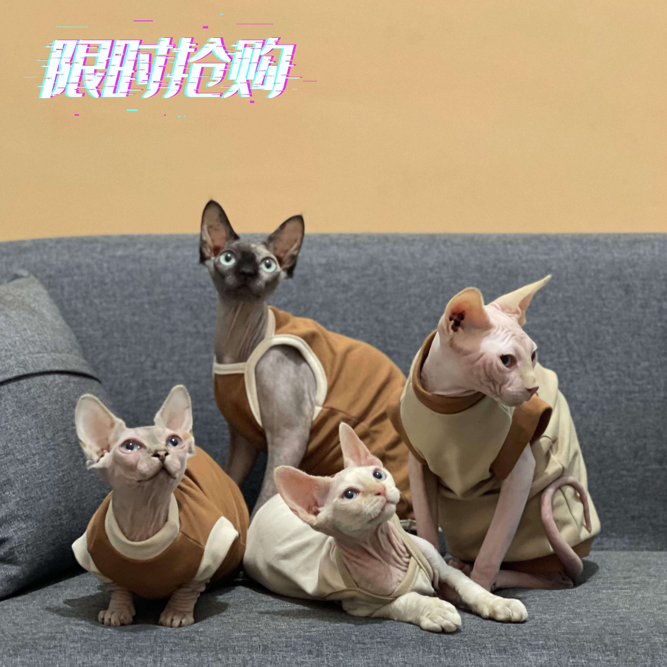 Hairless cat clothes Summer cotton feel good Special limited edition sold out no supplement Sphinx cat clothes