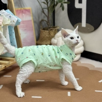 Зеленые четыре фута