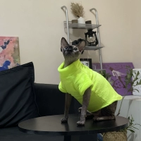 Флуоресцентный зеленый