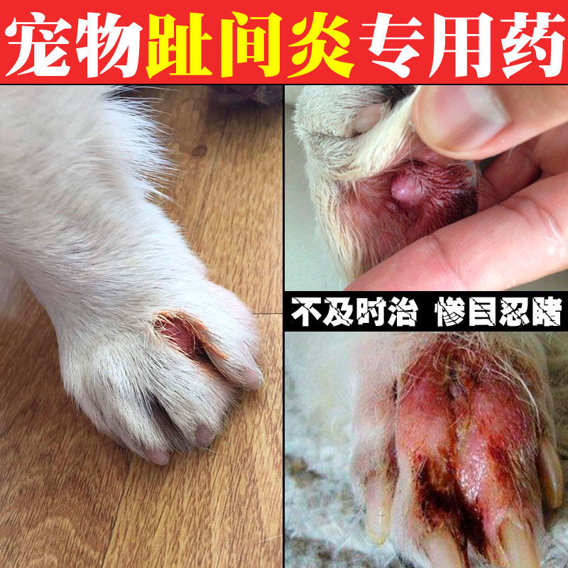 Dog interdental inflammation medicine Australian pet toenitis cat interdental inflammation dog fingertip inflammation anti-inflammatory ointment special ointment for external use