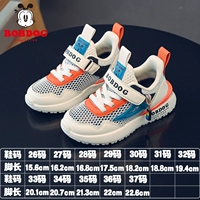 Светлый рис/озеро синий 23020 (лето)