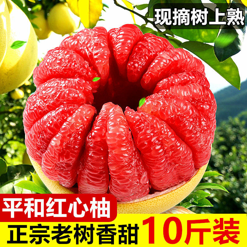 农家精选红心柚子新鲜水果红心蜜柚10斤当季新鲜孕妇水果正品特大 - 图0