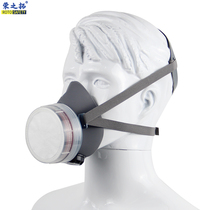 Raw Treasure AN2004 Gas Mask Anti-Formaldehyde Paint Sulfur Dioxide Ammonia Gas Industrial Dust Mask Decoration Spray Paint