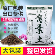 Rotting leaf soil rotting ripe Clivia special humic soil nutrient soil planting soil Oak tussah leaf Orchid bonsai acidic