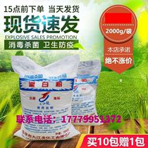 Well Water Disinfection Powder Bleached Edible Wells Sanitizing Sheet Water Purification Household Chlorine Dioxide Drinking Water Germicide Purifiers