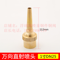 Total copper 4 points 6 points 1 inch universal straight shooting adjustable nozzle DC water view nozzle Landscape rushing water spray pool fish pool