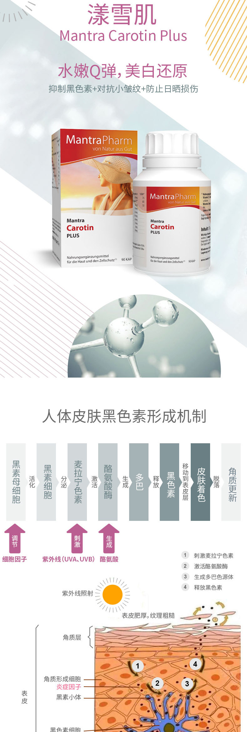 Yang Snow Muscle_02.jpg