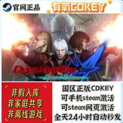 Steam Genuine Chinese Region Devil May Cry 4 Special Edition Activation Code Chinese Region Cdkey