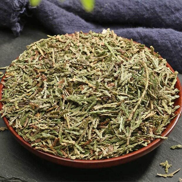 Cebai Ye Powder 500g Fine Ground Platycladus orientalis Leaf Traditional Herbal Powder in use